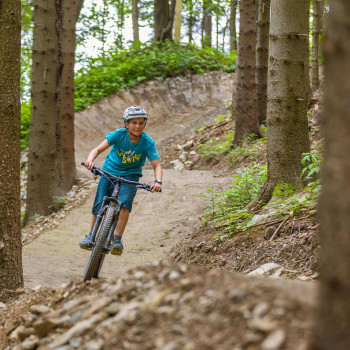 598f8488-b436-48ad-97cb-c2ec8826e53f