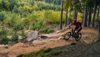 shutterstock_329219627 shutterstock_329219627